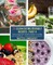 25 Clean-Eating-Friendly Recipes - Part 4 - measurements in grams