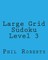 Large Grid Sudoku Level 3