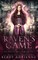 Raven's Game
