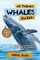 All Things Whales For Kids