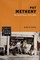 Pat Metheny (UK)