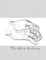 The Art of Anatomy