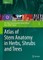 Atlas of Stem Anatomy in Herbs, Shrubs and Trees, Volume 1