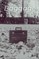 Martin, K: Baggage
