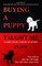 Buying a Puppy Taught Me Everything I Need To Know