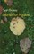 Stories for Nadira