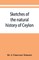 Sketches of the natural history of Ceylon; with narratives and anecdotes illustrative of the habits and instincts of the mammalia, birds, reptiles, fishes, insects, &c. including a monograph of the elephant and a Decription of the modes of capturing and t