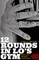 12 Rounds in Lo's Gym