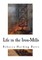 Life in the Iron-Mills
