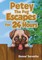 Petey The Pug Escapes for 24 Hours