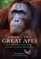 Among the Great Apes