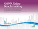 2022 AWWA Utility Benchmarking