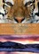 Destination Wildlife