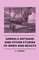 Animals Artisans - And Other Studies of Birds and Beasts