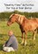 Quality Time Activities For You & Your Horse