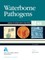 Waterborne Pathogens (M48)