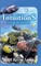 Intuitions