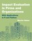 Impact Evaluation in Firms and Organizations