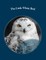 The Little White Bird