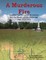 A Murderous Fire