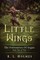 Little Wings