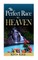 The Perfect Race to Heaven