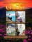 New Creations Coloring Book Series
