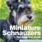 Miniture Schnauzers