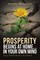 PROSPERITY begins at home...in YOUR own mind