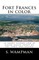 Fort Frances in color