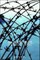 Barbed Wire