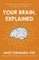Your Brain, Explained