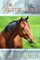 The Quarter Horse