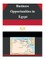 Business Opportunities in Egypt