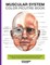 Muscular System Color Picture Book