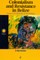 Colonialism and Resistance in Belize