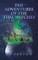 The Adventures of the Time Witches