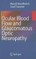Ocular Blood Flow and Glaucomatous Optic Neuropathy