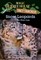 Snow Leopards and Other Wild Cats