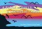 A Flock of Seagulls, a Chorus of Frogs