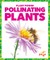 Pollinating Plants