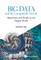 Big Data and the Computable Society: Algorithms and People in the Digital World