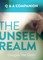 The Unseen Realm: A Question & Answer Companion