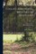 Collins Historical Sketches of Kentucky