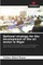National strategy for the development of the oil sector in Niger