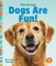 Dogs Are Fun!