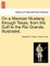 On a Mexican Mustang through Texas, from the Gulf to the Rio Grande. Illustrated.