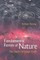 Fundamental Forces of Nature: The Story of Gauge Fields