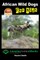 African Wild Dogs For Kids