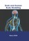 Brain and Human Body Modeling